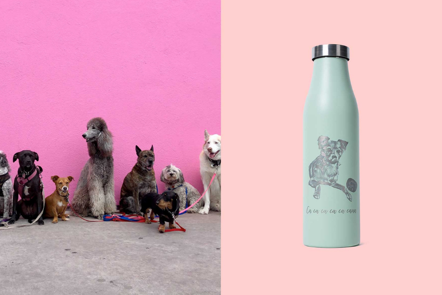 Custom LAMOSE bottles for Calgary Humane Society volunteer appreciation and fundraising