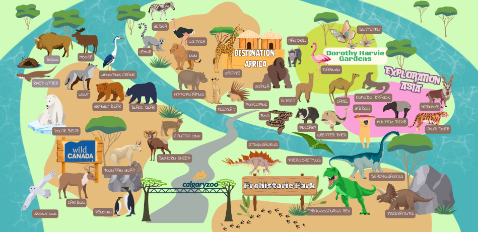 Wholesale Illustrated Zoo Map — Goose 14oz Kids Bottle UV Print