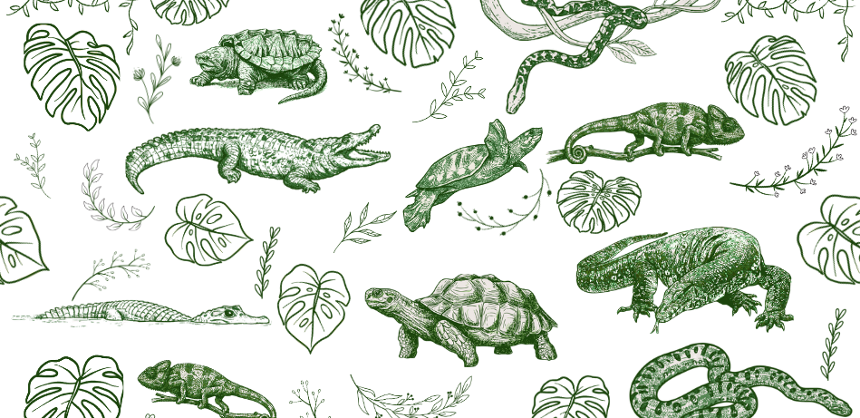 Wholesale Reptile Sketch — Goose 14oz Kids Bottle UV Print
